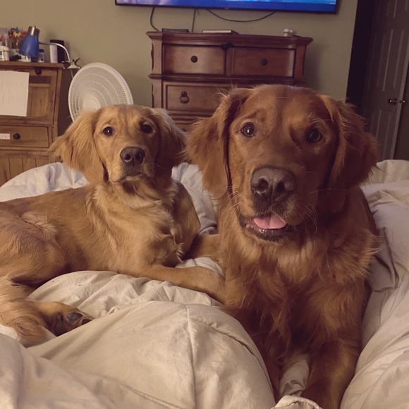 AKPOSHMOM Please take advantage of BUNDLE AND SAVE - Picture 3 of 11